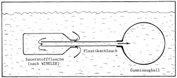 Abb.: Technik der Probennahme aus geringer Tiefe, Grafik: E. Schorr