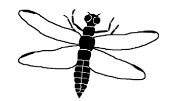 Abb. 5. Schema einer Großlibelle (Plattbauchlibelle), Grafik: E. Schorr