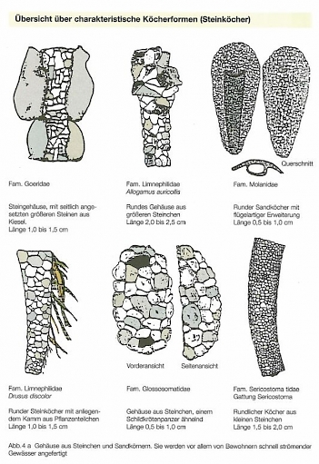 Abb. 3: Übersichten über Köcherformen, Grafiken: Dr. K-J. Maier, Dr. M. Linnenbach, (m. f. Genehmigung)